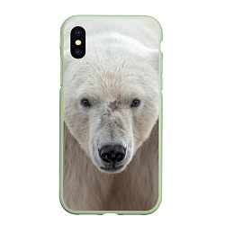 Чехол iPhone XS Max матовый Белый медведь, цвет: 3D-салатовый