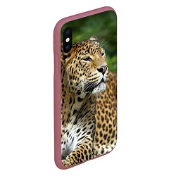 Чехол iPhone XS Max матовый Лик леопарда, цвет: 3D-малиновый — фото 2
