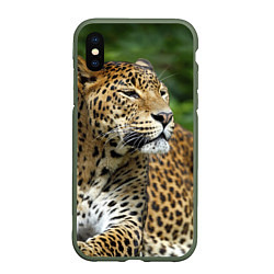 Чехол iPhone XS Max матовый Лик леопарда