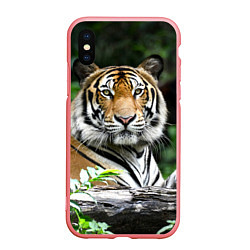 Чехол iPhone XS Max матовый Тигр в джунглях