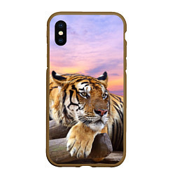 Чехол iPhone XS Max матовый Тигр на закате, цвет: 3D-коричневый