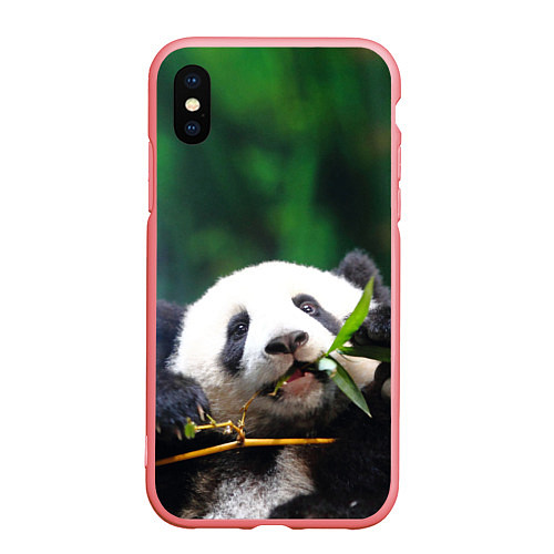 Чехол iPhone XS Max матовый Панда на ветке / 3D-Баблгам – фото 1
