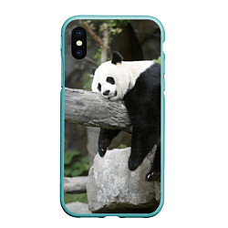 Чехол iPhone XS Max матовый Большая уставшая панда