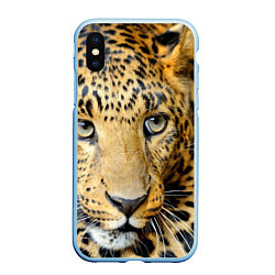 Чехол iPhone XS Max матовый Улыбка леопарда, цвет: 3D-голубой