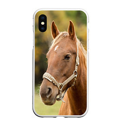 Чехол iPhone XS Max матовый Взгляд лошади, цвет: 3D-белый