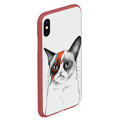 Чехол iPhone XS Max матовый David Bowie: Grumpy cat, цвет: 3D-красный — фото 2