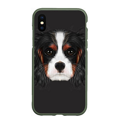 Чехол iPhone XS Max матовый Cavalier King Charles, цвет: 3D-темно-зеленый