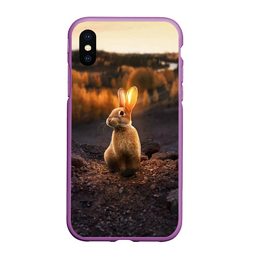 Чехол iPhone XS Max матовый Солнечный зайчик / 3D-Фиолетовый – фото 1