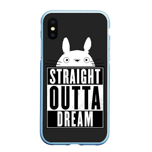 Чехол iPhone XS Max матовый Тоторо Straight outta dream / 3D-Голубой – фото 1