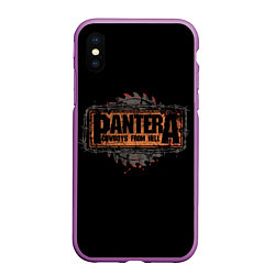 Чехол iPhone XS Max матовый PANTERA