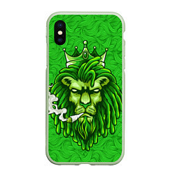 Чехол iPhone XS Max матовый Лев с короной, цвет: 3D-салатовый