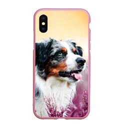 Чехол iPhone XS Max матовый Австралийская Овчарка, цвет: 3D-розовый
