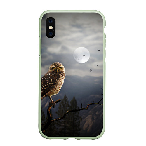 Чехол iPhone XS Max матовый Сова / 3D-Салатовый – фото 1