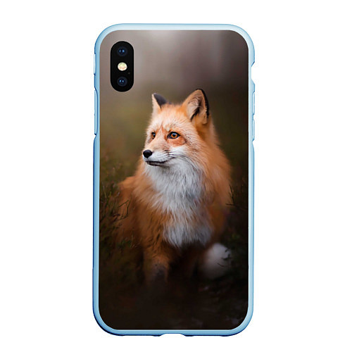 Чехол iPhone XS Max матовый Лиса-охотница / 3D-Голубой – фото 1