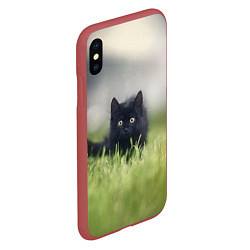 Чехол iPhone XS Max матовый Черный кот на лугу, цвет: 3D-красный — фото 2