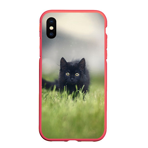 Чехол iPhone XS Max матовый Черный кот на лугу / 3D-Красный – фото 1