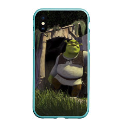 Чехол iPhone XS Max матовый Shrek: Somebody Once Told Me, цвет: 3D-мятный