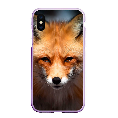 Чехол iPhone XS Max матовый Хитрая лисица / 3D-Сиреневый – фото 1