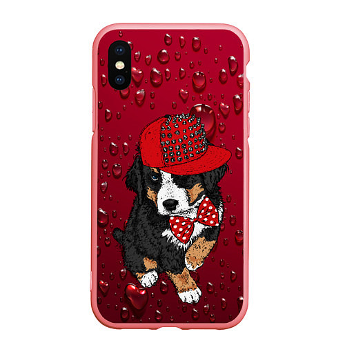 Чехол iPhone XS Max матовый Cool Dog / 3D-Баблгам – фото 1