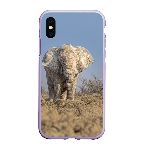 Чехол iPhone XS Max матовый Африканский белый слон / 3D-Светло-сиреневый – фото 1