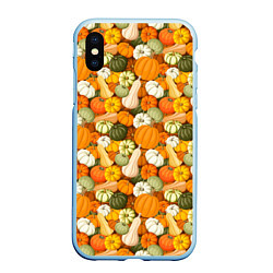 Чехол iPhone XS Max матовый Тыквы Pumpkin