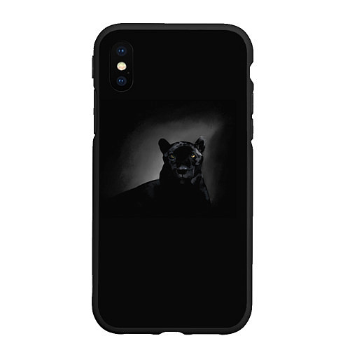 Чехол iPhone XS Max матовый Пантера в лучах света / 3D-Черный – фото 1