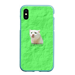 Чехол iPhone XS Max матовый Приемлемо кот мем, цвет: 3D-мятный