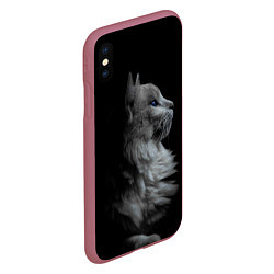 Чехол iPhone XS Max матовый Кошатникам, цвет: 3D-малиновый — фото 2