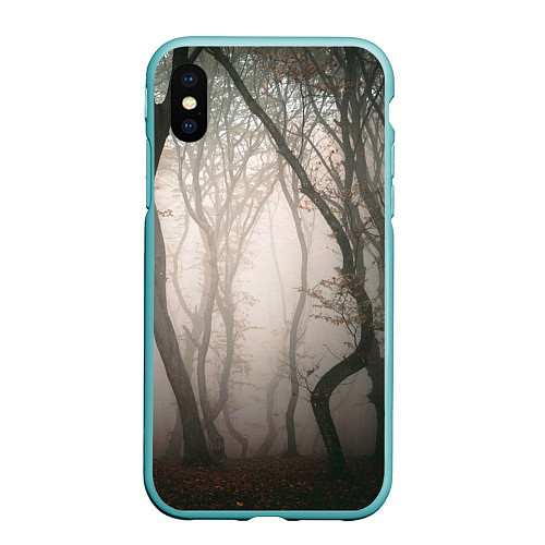 Чехол iPhone XS Max матовый Лес Туман / 3D-Мятный – фото 1