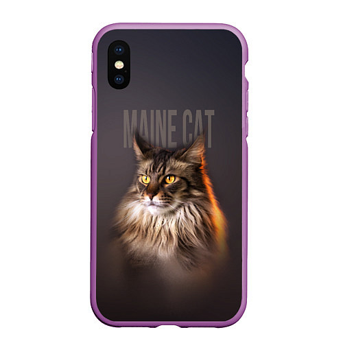 Чехол iPhone XS Max матовый Maine cat / 3D-Фиолетовый – фото 1