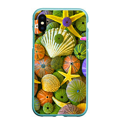 Чехол iPhone XS Max матовый Композиция из морских звёзд и ракушек, цвет: 3D-мятный