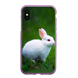 Чехол iPhone XS Max матовый Кролик на фоне травы
