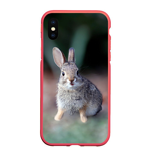 Чехол iPhone XS Max матовый Малыш кролик / 3D-Красный – фото 1