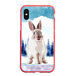 Чехол iPhone XS Max матовый Кролик в зимнем лесу, цвет: 3D-красный