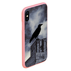 Чехол iPhone XS Max матовый Halloween - силуэт ворона, цвет: 3D-баблгам — фото 2