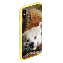 Чехол iPhone XS Max матовый Красная панда ждёт, цвет: 3D-желтый — фото 2