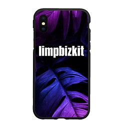 Чехол iPhone XS Max матовый Limp Bizkit neon monstera