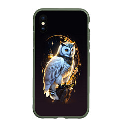 Чехол iPhone XS Max матовый Снежная сова, цвет: 3D-темно-зеленый
