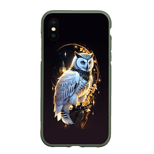 Чехол iPhone XS Max матовый Снежная сова / 3D-Темно-зеленый – фото 1