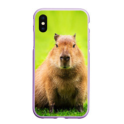 Чехол iPhone XS Max матовый Capybara on green grass, цвет: 3D-сиреневый