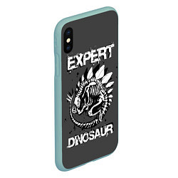 Чехол iPhone XS Max матовый Dinosaur expert, цвет: 3D-мятный — фото 2