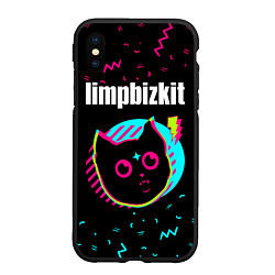 Чехол iPhone XS Max матовый Limp Bizkit - rock star cat, цвет: 3D-черный