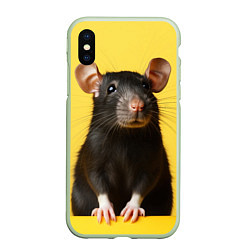 Чехол iPhone XS Max матовый Крыса черная, цвет: 3D-салатовый
