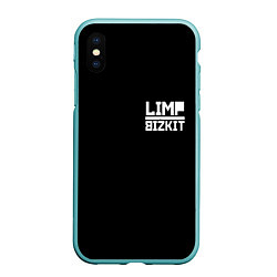Чехол iPhone XS Max матовый Lim Bizkit logo, цвет: 3D-мятный