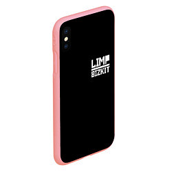 Чехол iPhone XS Max матовый Lim Bizkit logo, цвет: 3D-баблгам — фото 2