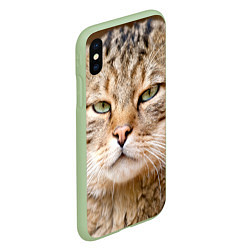 Чехол iPhone XS Max матовый Взгляд кошки, цвет: 3D-салатовый — фото 2