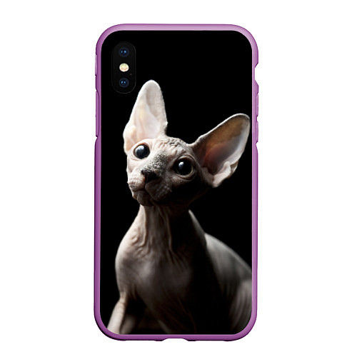 Чехол iPhone XS Max матовый Котик сфинкс / 3D-Фиолетовый – фото 1