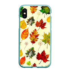 Чехол iPhone XS Max матовый Осень, цвет: 3D-мятный