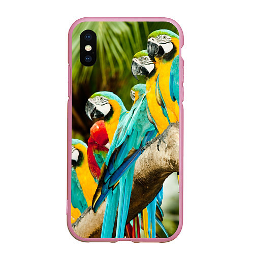 Чехол iPhone XS Max матовый Попугаи на ветке / 3D-Розовый – фото 1