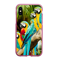 Чехол iPhone XS Max матовый Попугаи на ветке